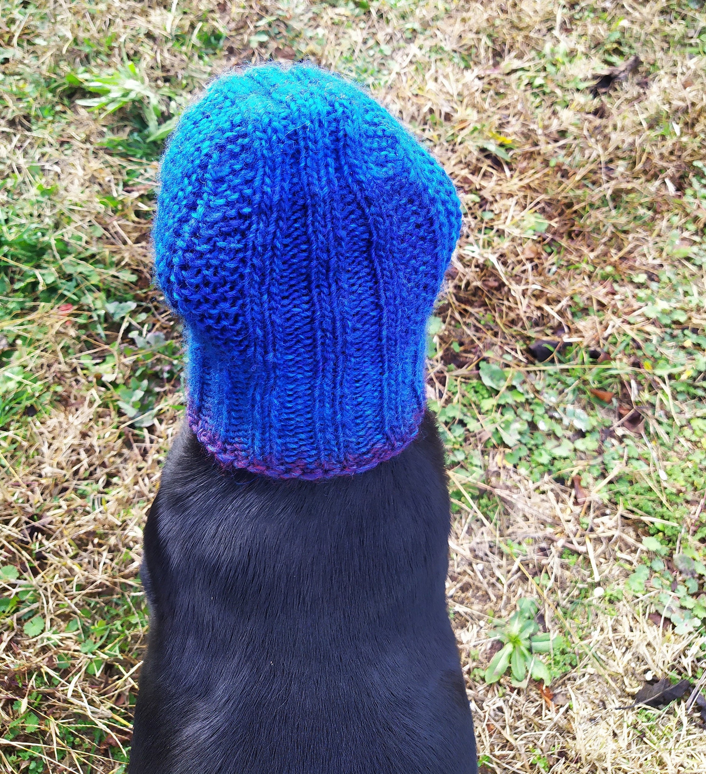 Pdf Knitting Pattern Dog Hatsbase Dog Hatsmall Dog Etsy