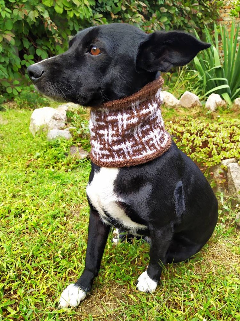 Snood for dogs / Knitted for dogs / wool / jacquard / pattern | Etsy
