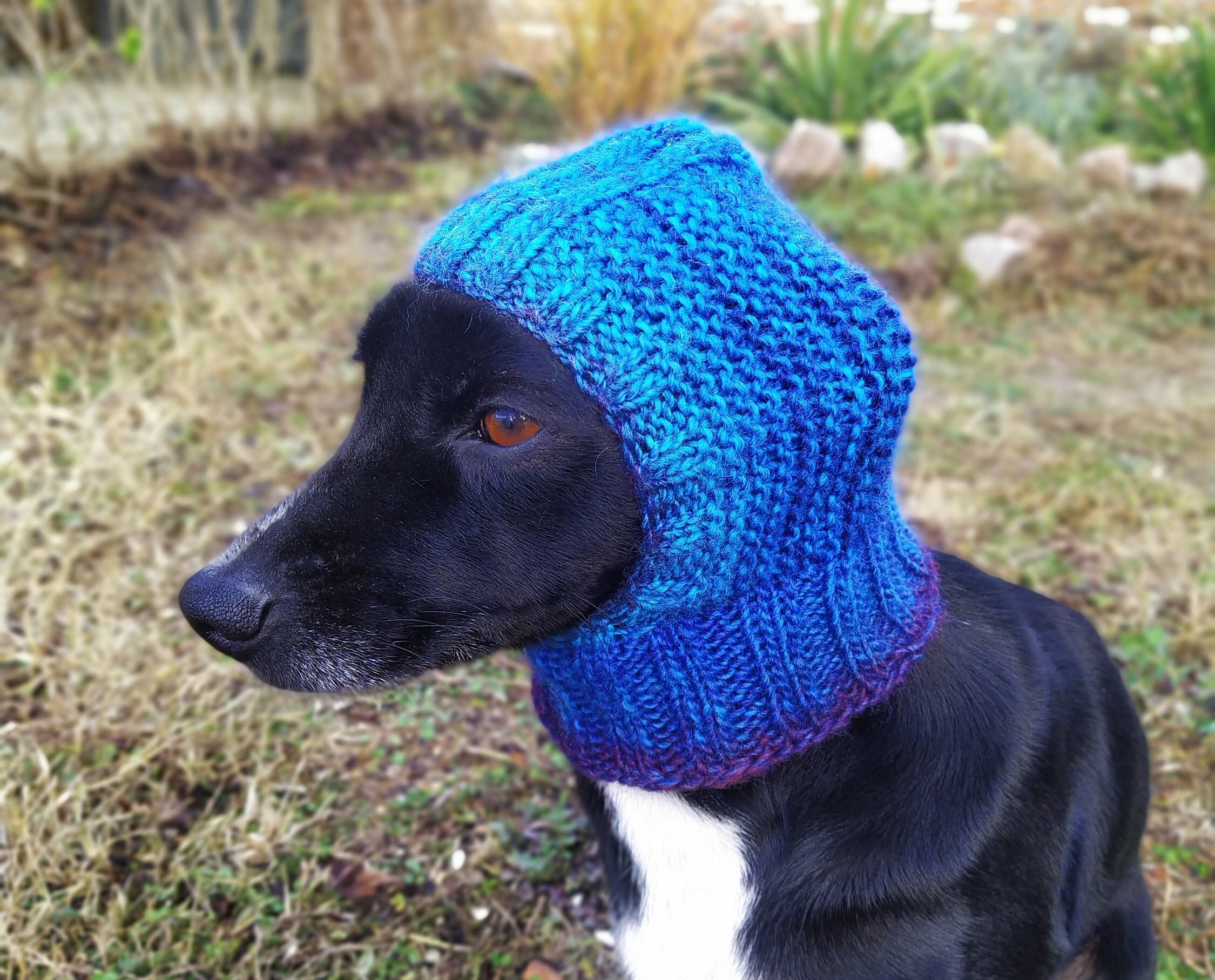 Pdf Knitting Pattern Dog Hatsbase Dog Hatsmall Dog Etsy