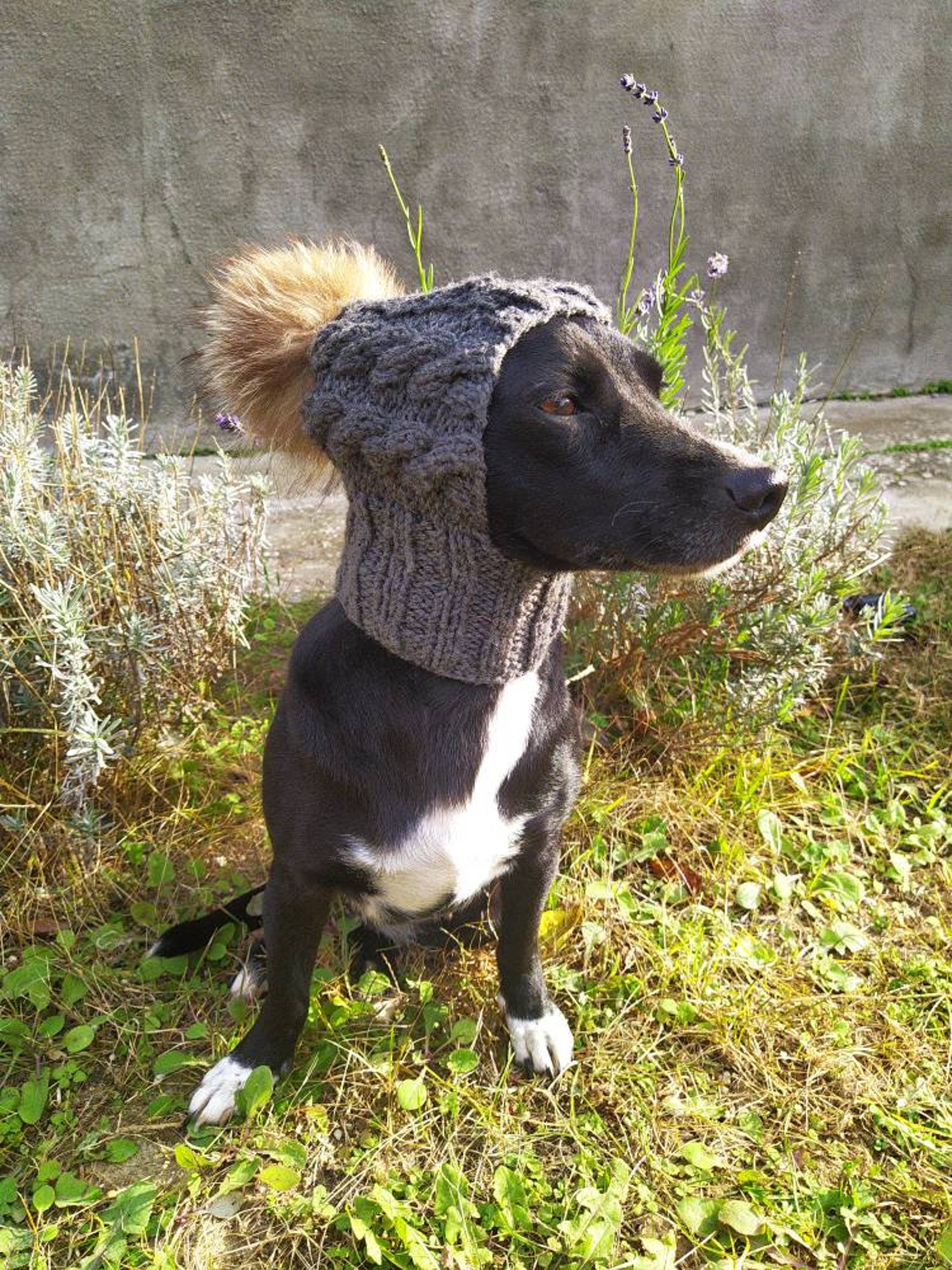 Dog hats/knitted hat/original hat to order/hat with fur Etsy