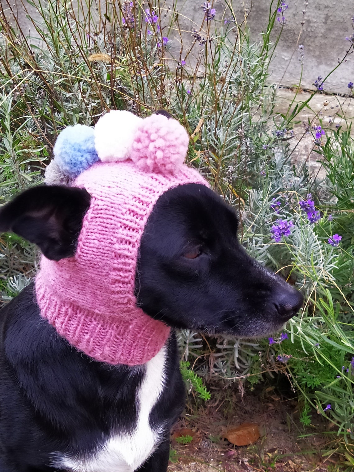 Pdf Knitting Pattern Dog Hatspompoms Dog Hatsmall Dog Etsy