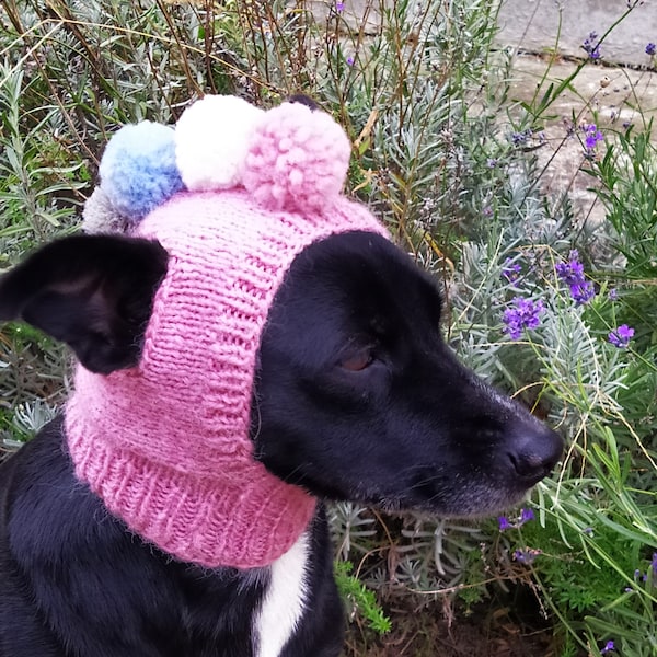 Modèle de tricot Pdf Chapeaux pour chien, bonnet pour chien pompons, petit chapeau pour chien, bonnet tricoté pour chien, vêtements pour chien, mode pour chien, cadeau pour chien, cadeau pour amoureux des animaux de compagnie, modèle de tricot