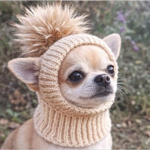 Könnte beinhalten: Ein hellbrauner Chihuahua-Hund trägt eine beige Strickmütze mit einem flauschigen Bommel. Die Mütze bedeckt die Ohren und den Hals des Hundes. Der Hund hat dunkle Augen und einen neugierigen Gesichtsausdruck.