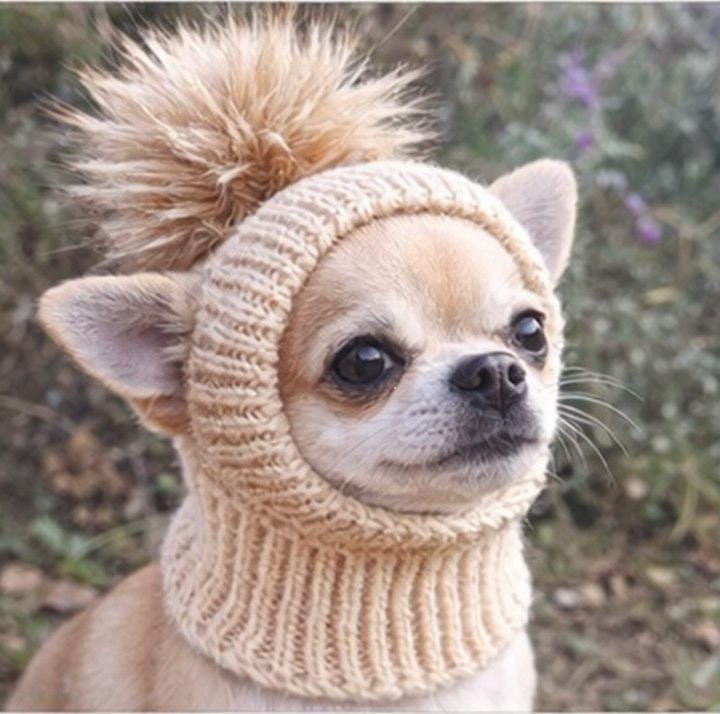 Chihuahua clothes - Etsy.de