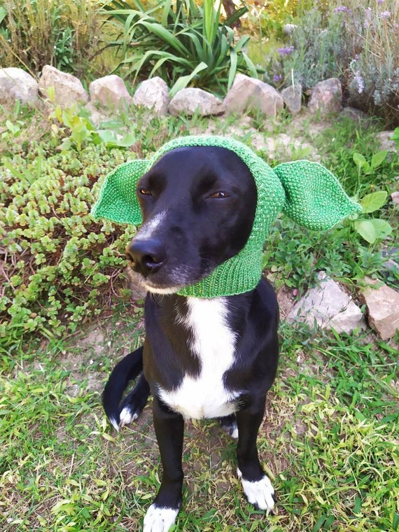 Dog hats / knitted hat/Dog hat with ears/ Handknitted hat for Etsy