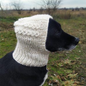 Puede incluir: Un perro negro con una capucha de punto blanca para perros con un patrón de punto de cable. La capucha cubre la cabeza y el cuello del perro.