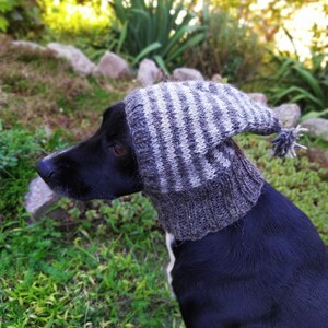 May include: A black dog wearing a grey and white striped knitted hat with a small bobble. The dog is sitting in a grassy area with rocks and greenery in the background. The hat covers the dog's ears and head.