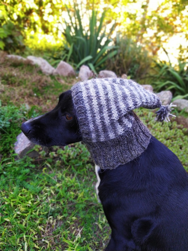 Pdf Pattern Dog Hats/striped Dog Hat With Tassel/knitting Dog Etsy