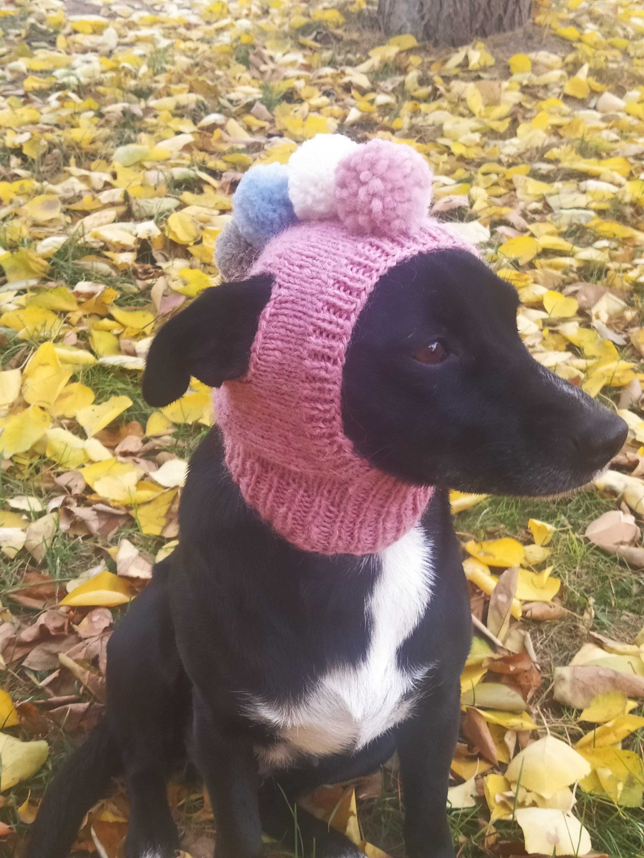 Pdf Knitting Pattern Dog Hatspompoms Dog Hatsmall Dog Etsy