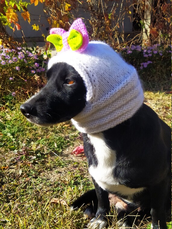 Pdf Pattern Dog Hats/dog Hat With Bow 