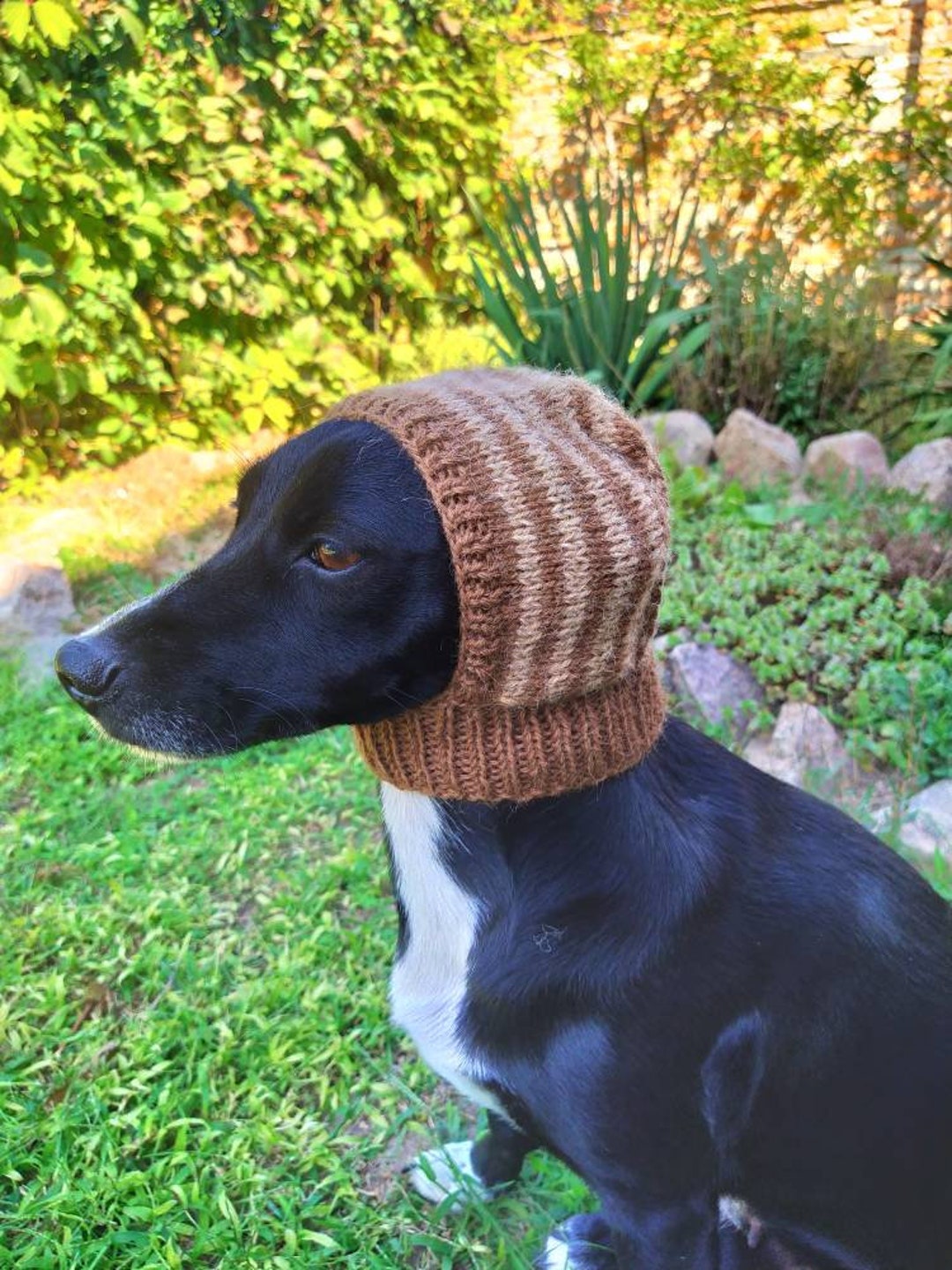 Winter Knitted Hat for Dog /striped Hat/ for Dogs /pet Clothes Etsy