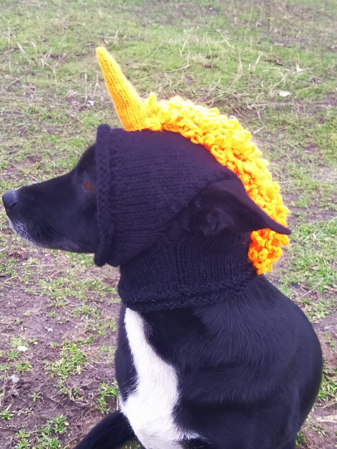 Pdf Knitting Pattern Dog Hats Black Unicorn Dog Hatsmall Dog Etsy
