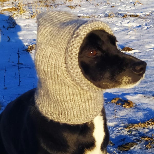 Winterhondenmuts pdf breipatroon, handgebreide beanie