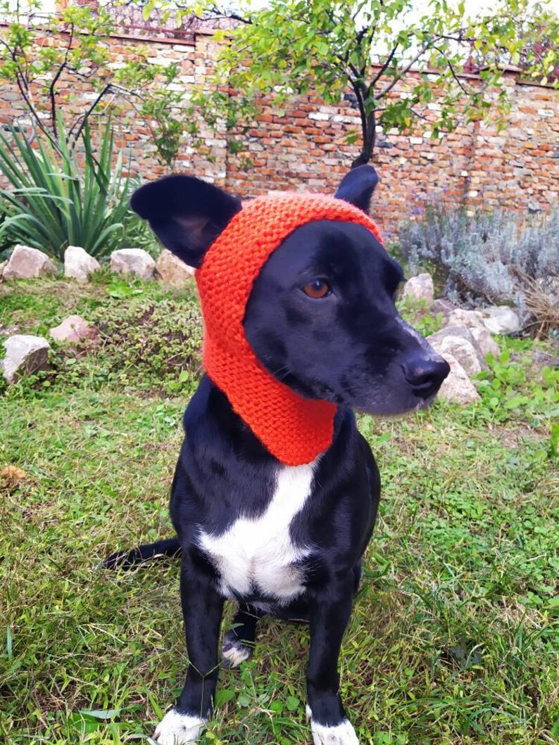 Hund Hüte/gestrickte Hut/orange Hund Hut /Handgestrickte Etsy