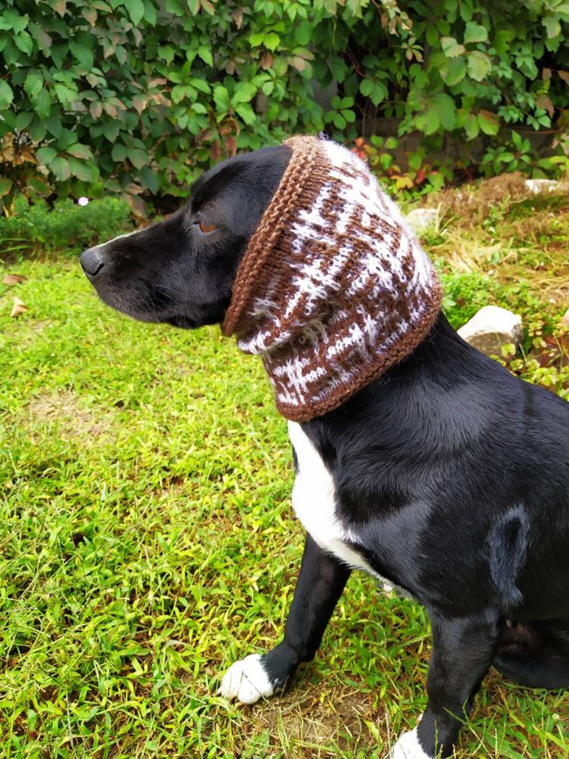 Snood for Dogs / Knitted for Dogs / Wool / Jacquard / Pattern Etsy