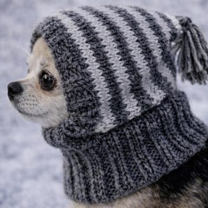 Modello per cappellino a righe per cani con nappina, da lavorare a maglia (modello in PDF)