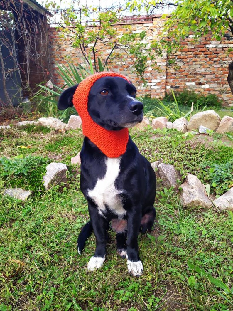 Hund Hüte/gestrickte Hut/orange Hund Hut /Handgestrickte Etsy