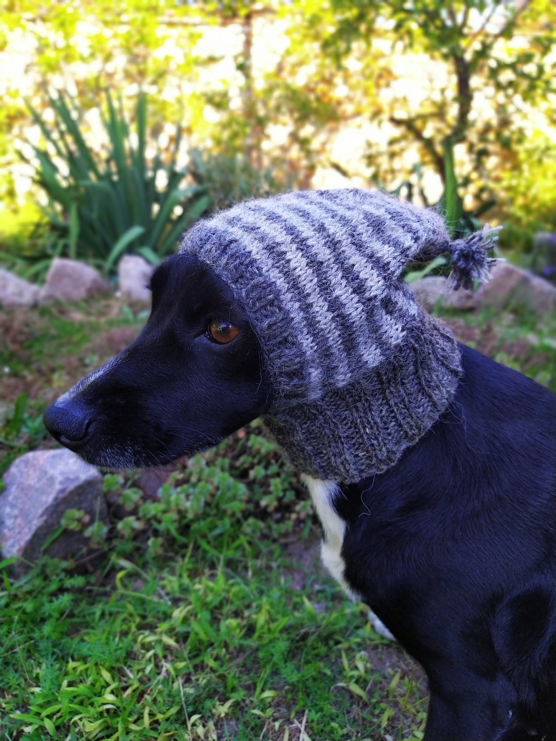 Pdf Pattern Dog Hats/striped Dog Hat With Tassel/knitting Dog Hat