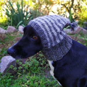 Pdf pattern Dog hats/Striped dog hat with tassel/Knitting Dog Hat/Winter Dog Costume/The ear is warmer/winter dog beanie/knitting pattern