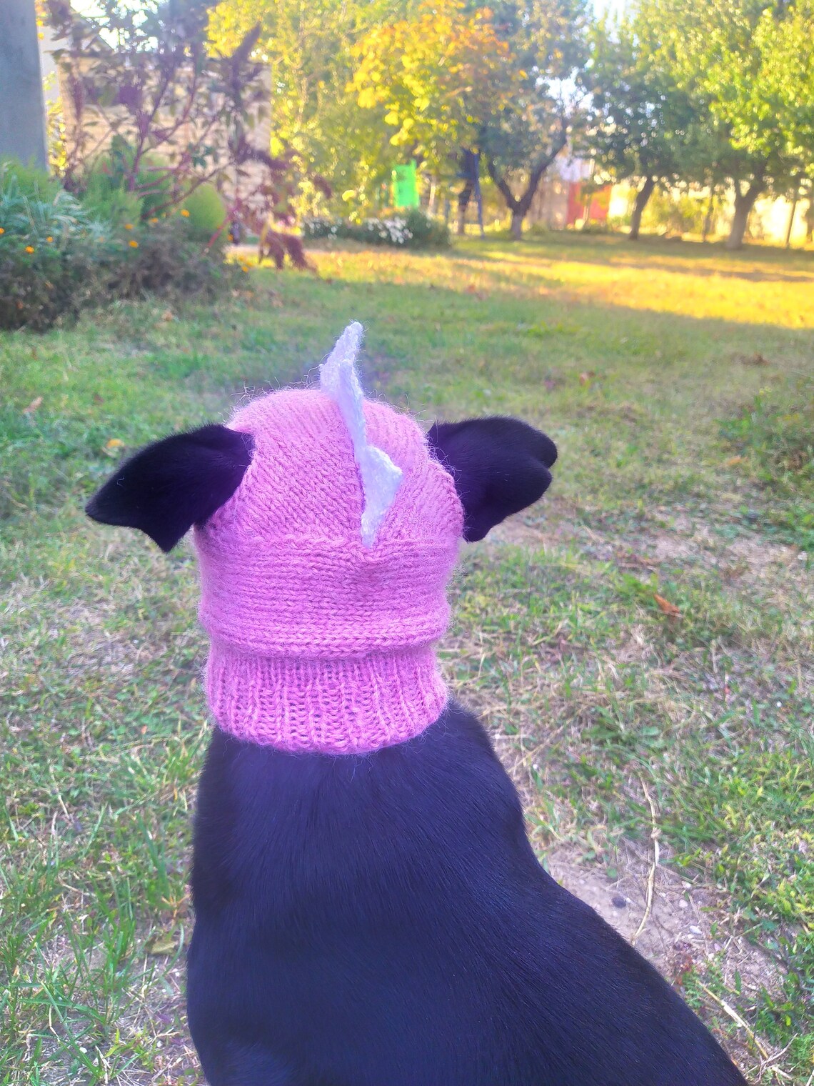Pdf Pattern Dog Hatsdino Dog Hat Small Dog Hat Knitted Dog Etsy