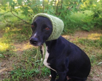 Dog hats / knitted hat/Dog hat with laces/ Hand-knitted hat for dogs /Dog Beanie Hat / Dog Accessories/ knitwear/green hat/puppy cap