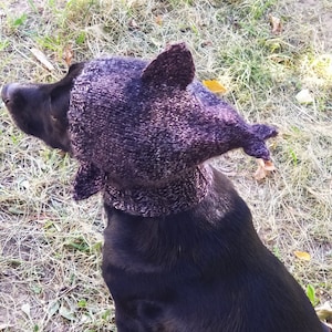 May include: A black dog wearing a purple knitted hat shaped like a shark fin. The dog is sitting on a bed of green grass.