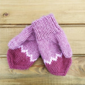 May include: A pair of pink and burgundy knitted mittens with a white zig-zag pattern at the cuff.