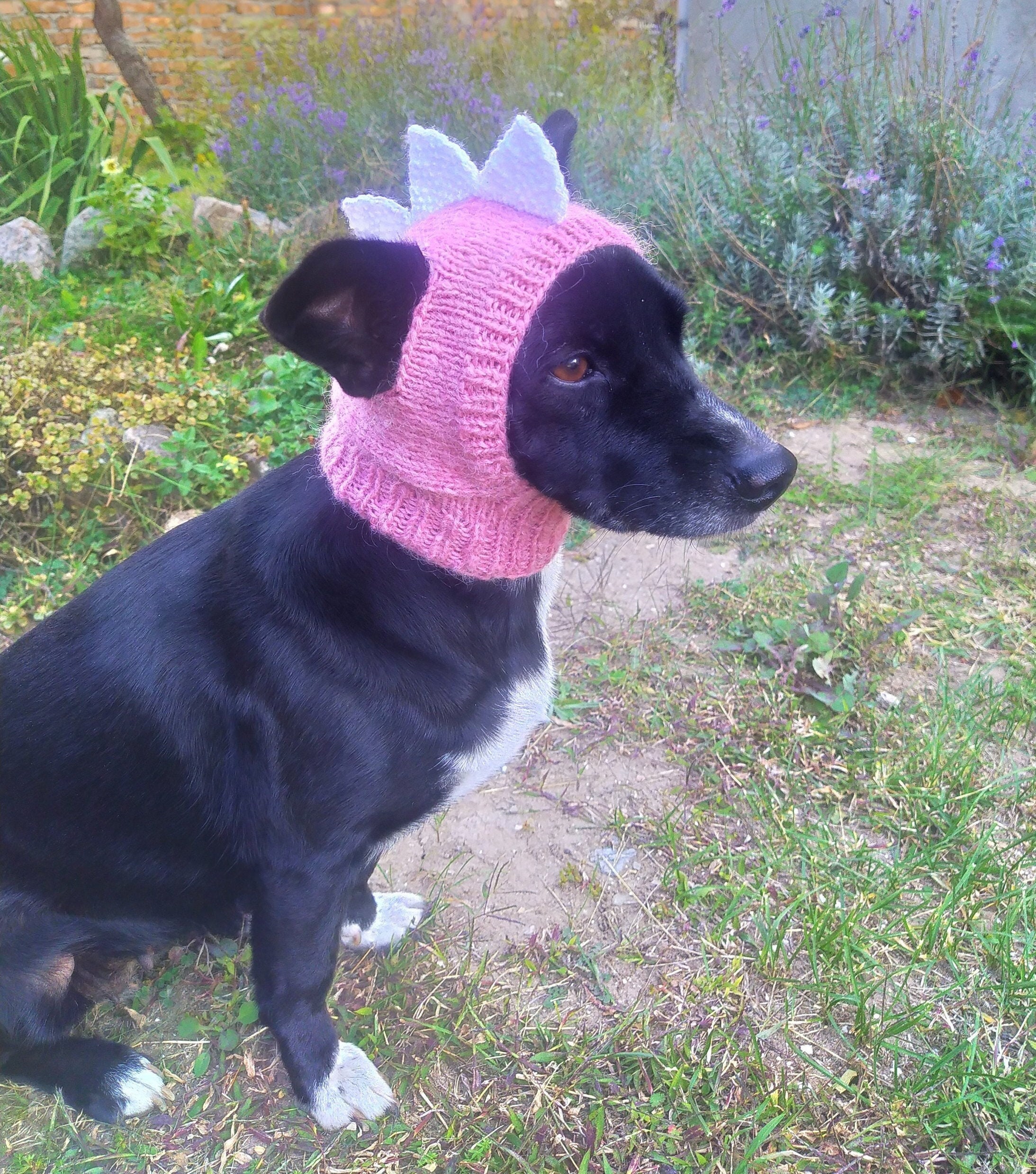 Pdf Pattern Dog Hatsdino Dog Hat Small Dog Hat Knitted Dog Etsy