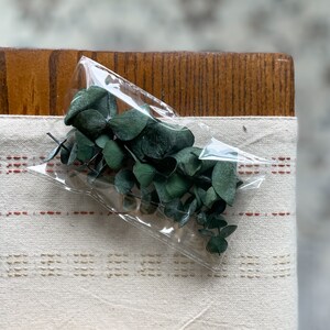 May include: A clear plastic bag filled with dried eucalyptus leaves. The leaves are a deep green color and are arranged in a loose bundle.