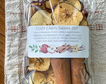 Popurrí acogedor para cocinar a fuego lento en la estufa con una mezcla de rodajas de manzana seca, tomillo, vainilla en polvo y ramas de canela, regalos de otoño/festividades