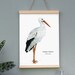see more listings in the Affiches section