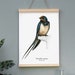 see more listings in the Posters section