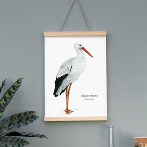 Stork Poster