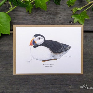 Carte Postale Macareux Moine