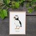 see more listings in the Cartes Postales section