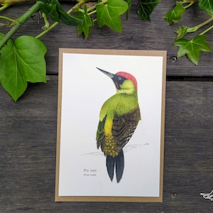 Carte Postale Pic vert