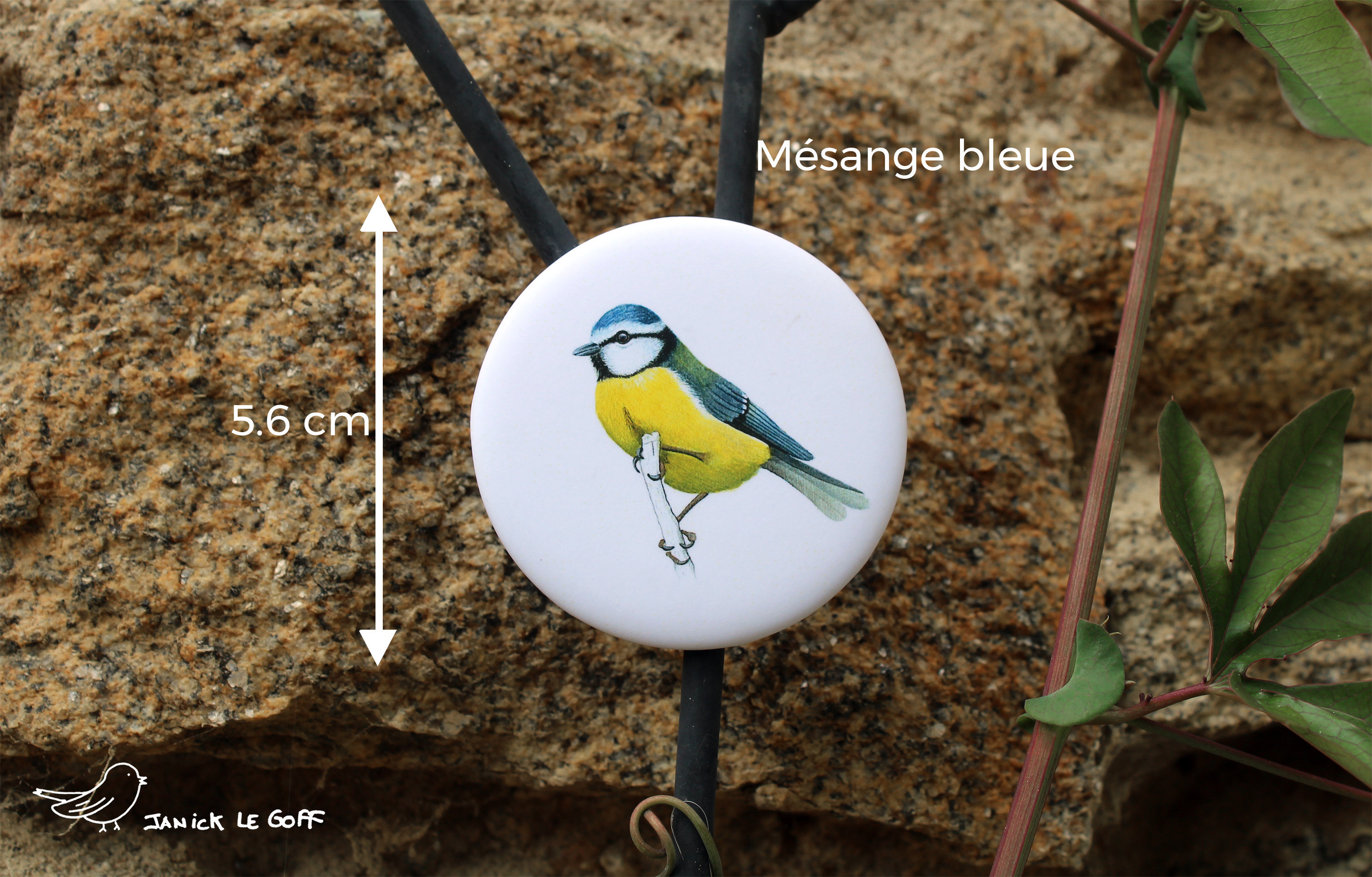 Magnet Mésange Bleue