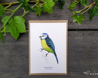 Cartão Postal Chapim Azul