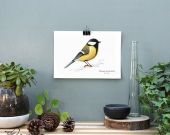 Affiche Mésange charbonnière
