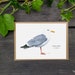 see more listings in the Postcards section