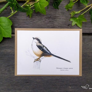 Long-tailed Tit Postcard