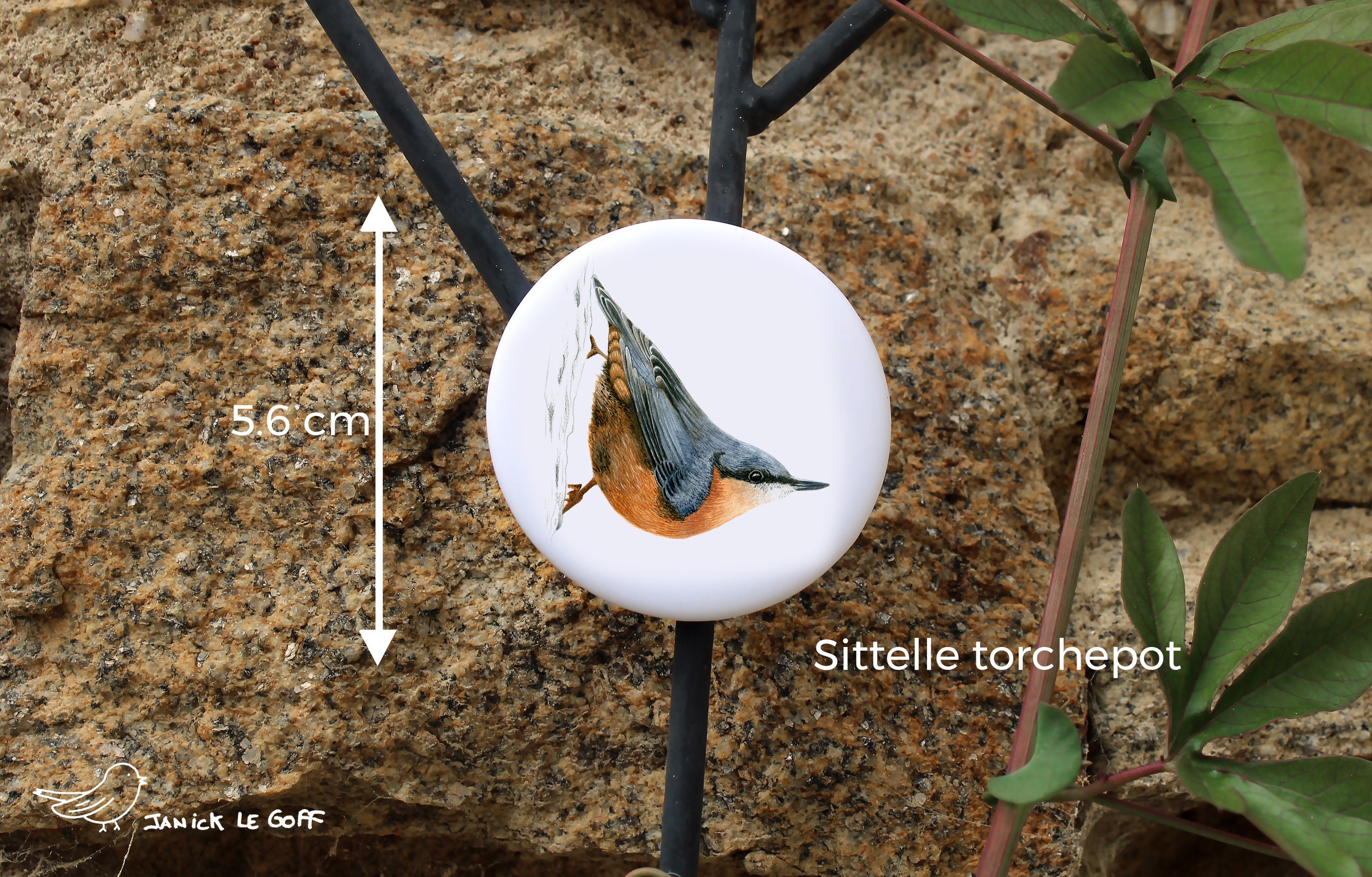 Magnet Sittelle Torchepot