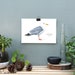 see more listings in the Posters section
