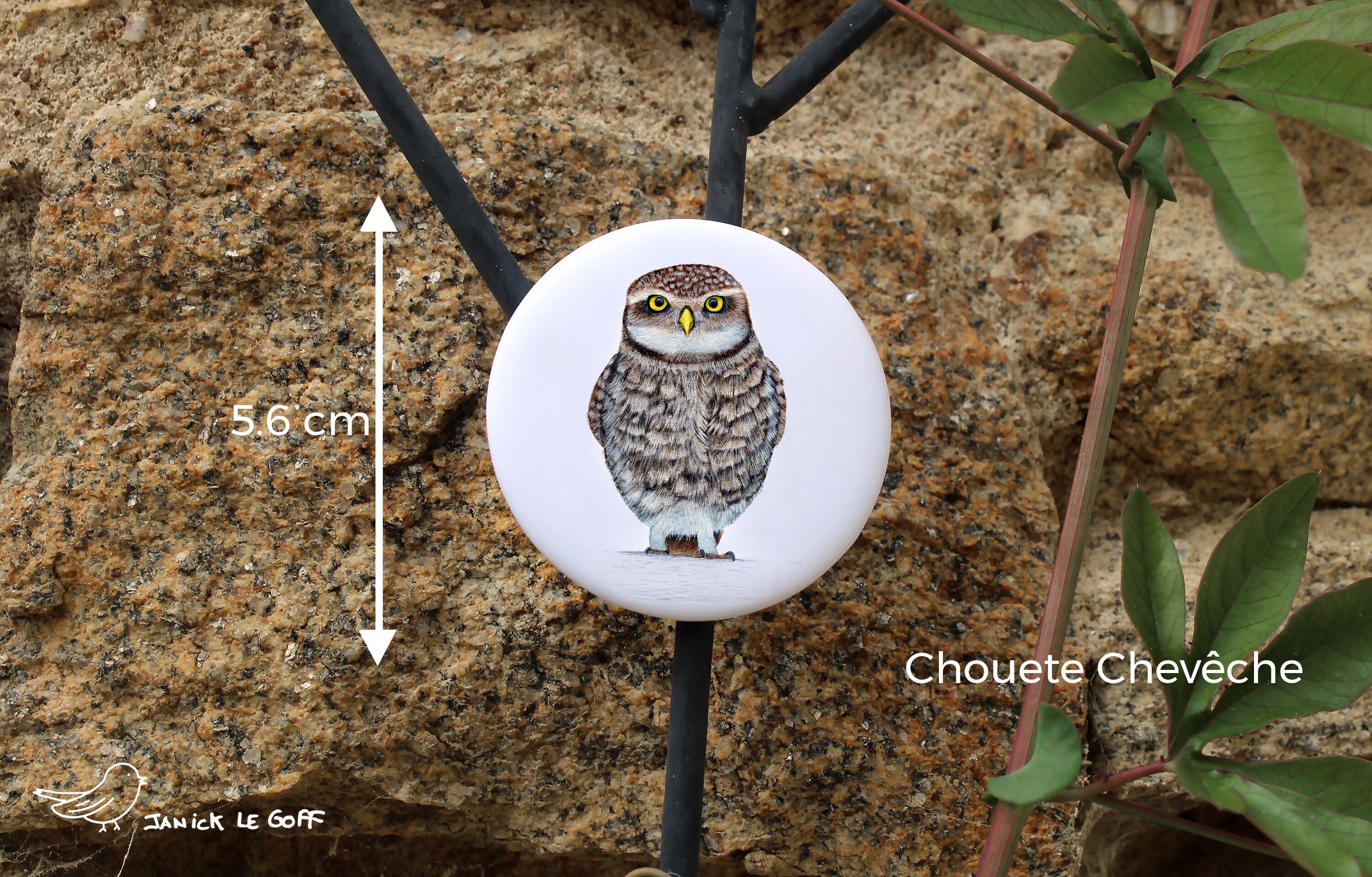 Magnet Chouette Chevêche