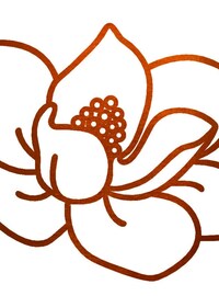 Hawaiian Flower Digital Print