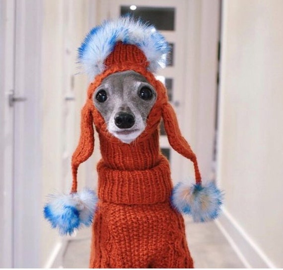 Trapper Hat for Italian Greyhound Dog Hat Dog Snood Dog Neck Warmer Italian Greyhound Hat Trapper Hat Etsy Canada