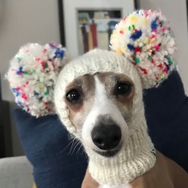 Hat for Italian Greyhound Dog Hat  Dog Snood Dog Neck Warmer Italian Greyhound Hat