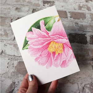 Carte de vœux Camellia / Carte de note - A6 - vierge