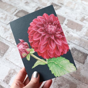 Carte de vœux Dahlia / Carte de note - A6 - vierge