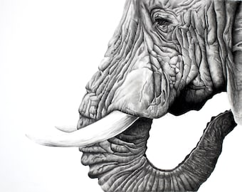 Original Drawing Elephant